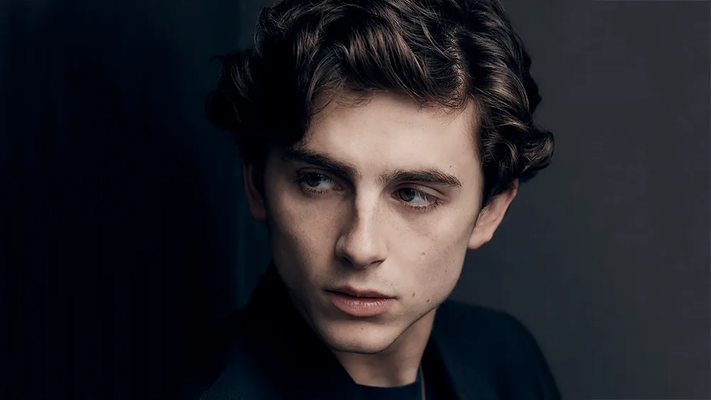 5 Film Yang Dibintangi Oleh Timothee Chalamet selain Wonka